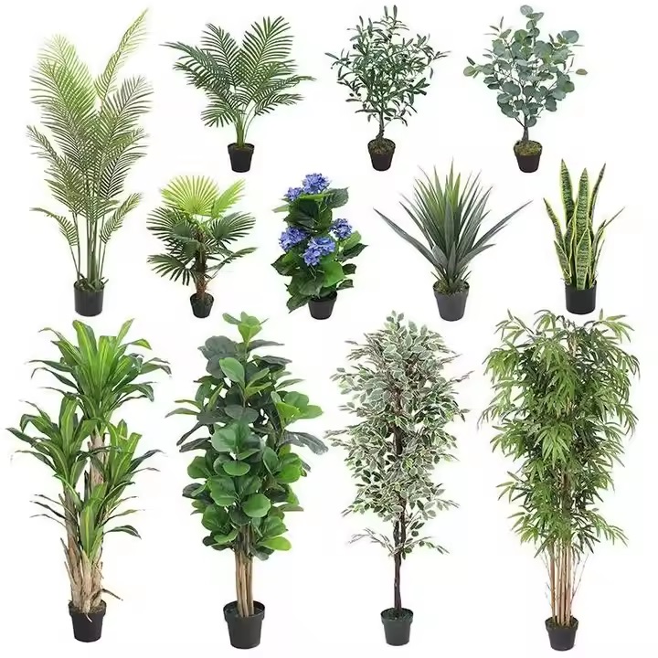 سایر درختچه ها